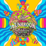 Magic Mushroom Gummies by TRE House