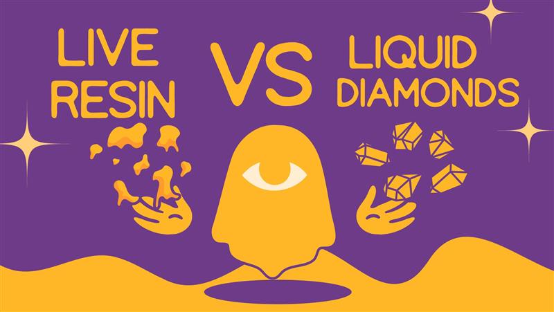 Live resin vs liquid diamonds: diferencias y cómo elegir (sin improvisar) | Gods Beard Cult