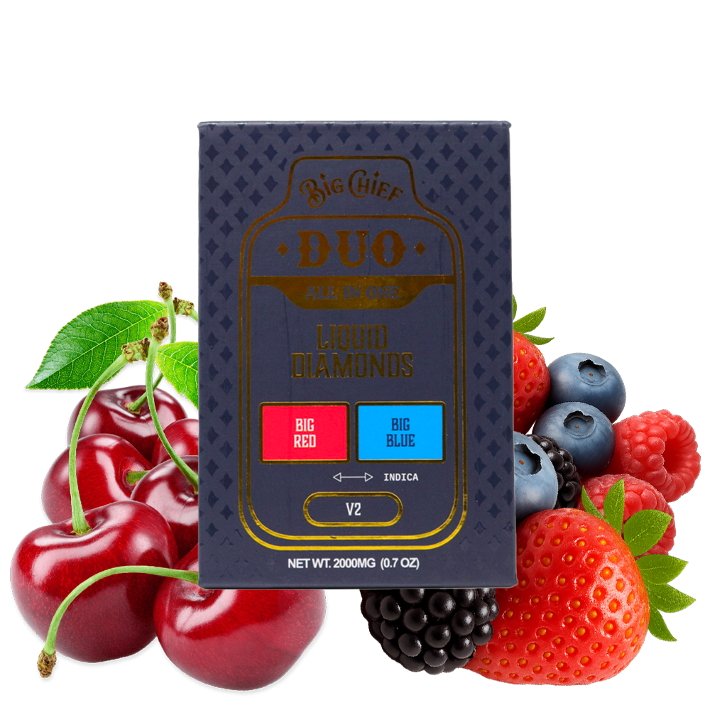 Big Chief | Liquid Diamonds Duo Disposable | 2 g