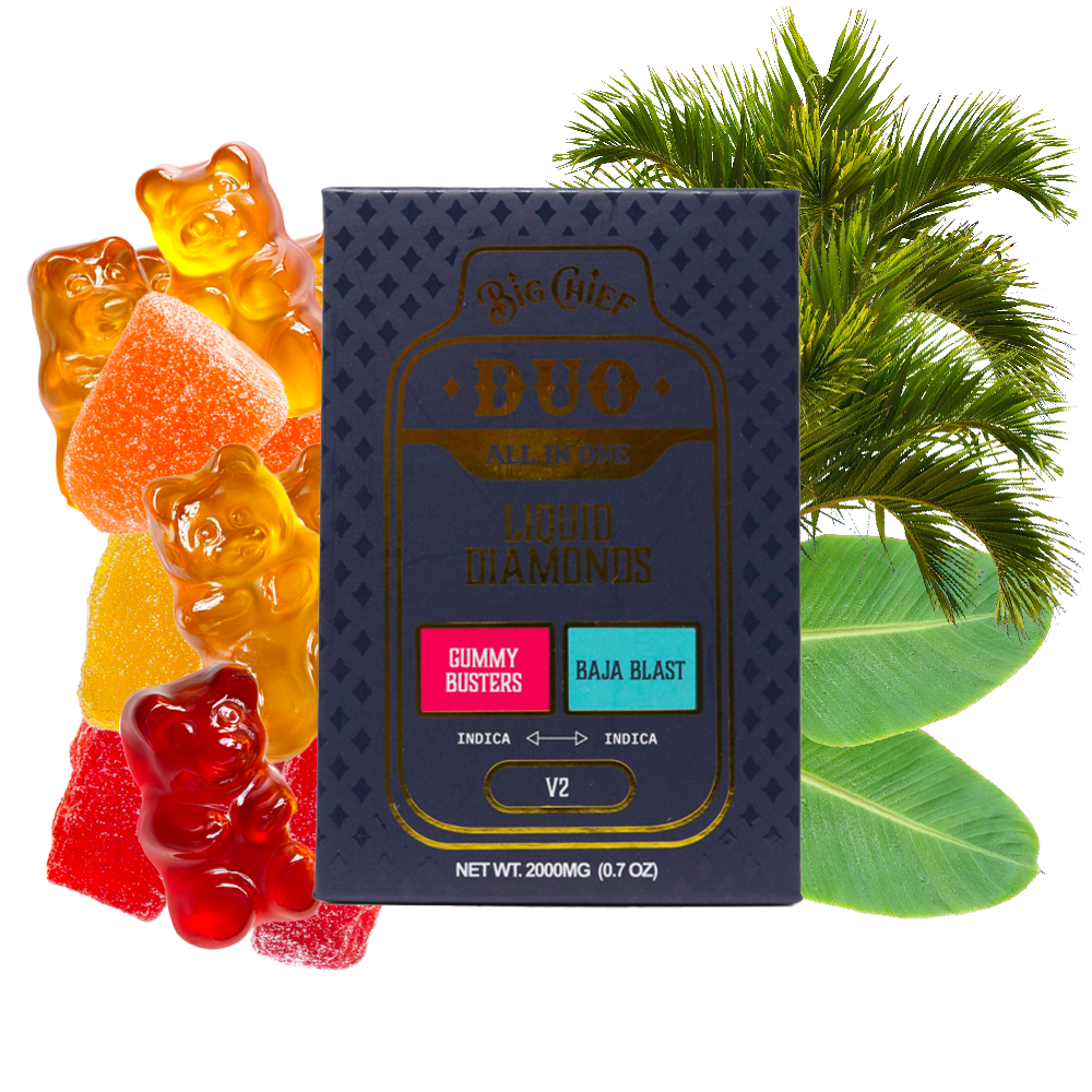 Big Chief | Liquid Diamonds Duo Disposable | 2 g