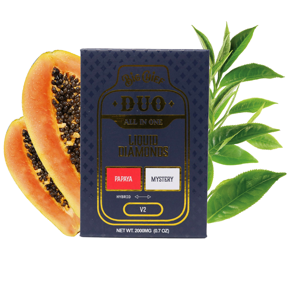 Big Chief | Liquid Diamonds Duo Disposable | 2 g