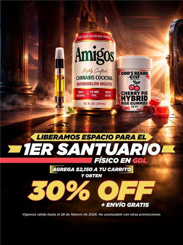 Imagen de diapositiva