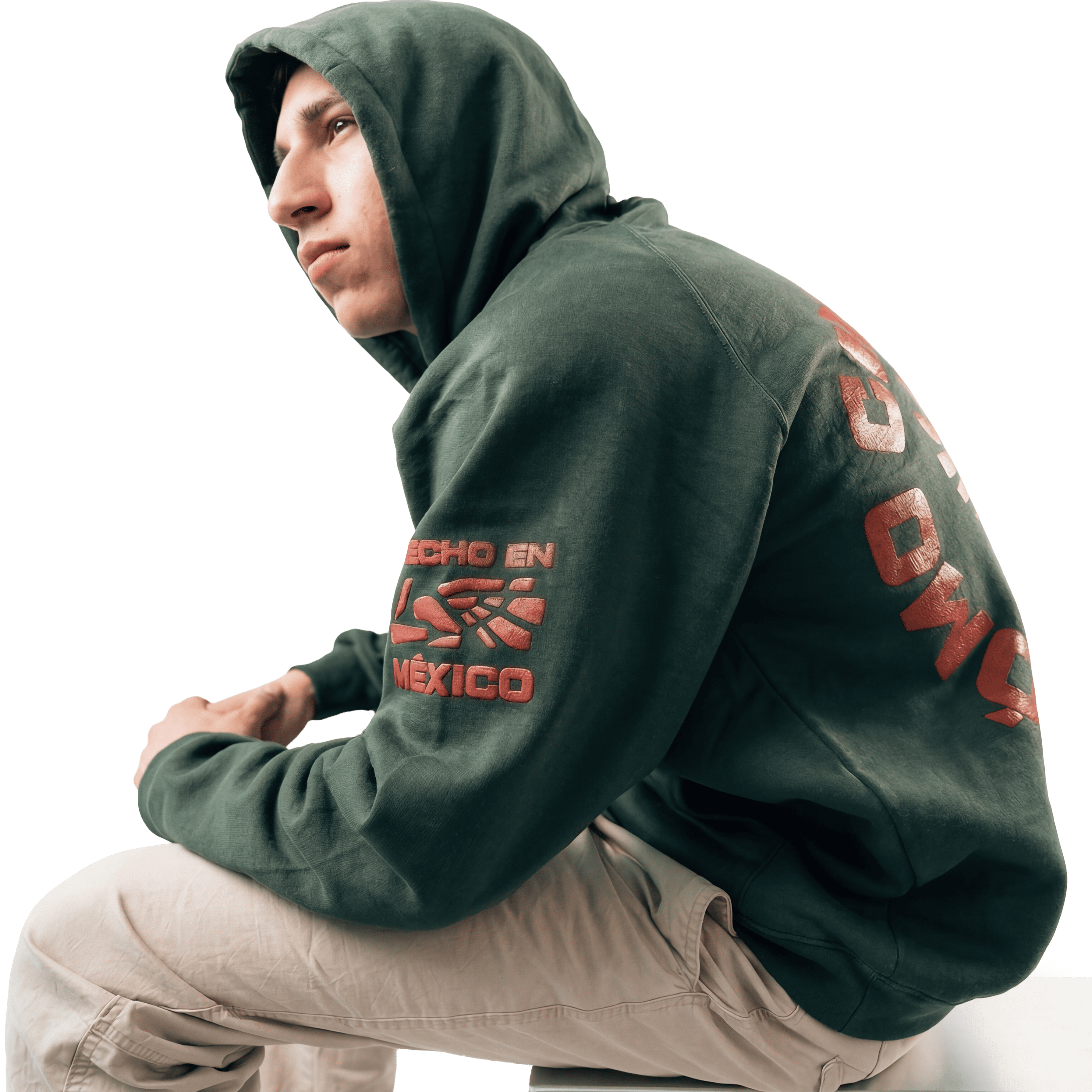 Detalle estampado hoodie ¿Cómo Chingados No? Gods Beard Cult — gráfica cultura cáñamo