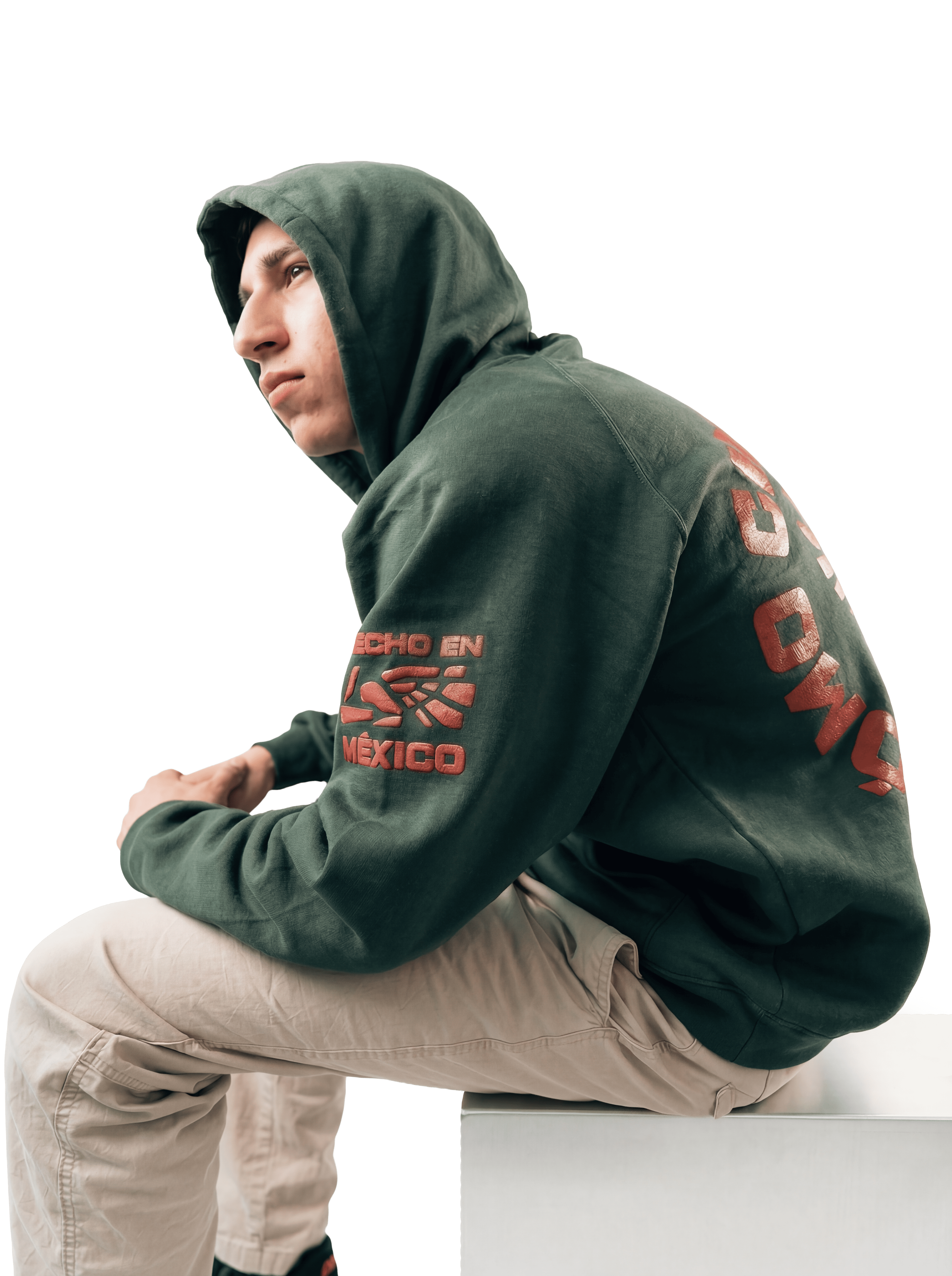 Detalle estampado hoodie ¿Cómo Chingados No? Gods Beard Cult — gráfica cultura cáñamo